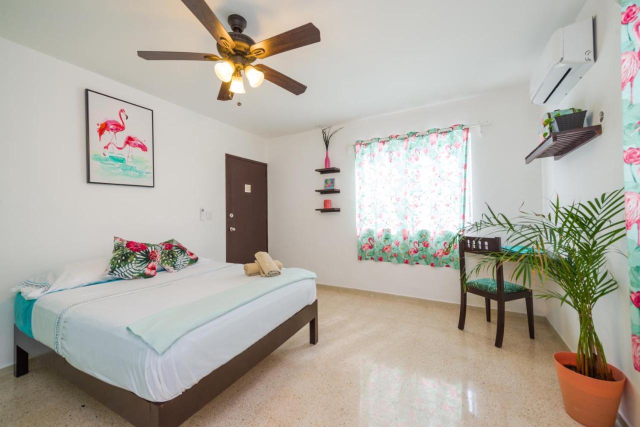 Casa Tropical Hotel Cancún Exterior foto