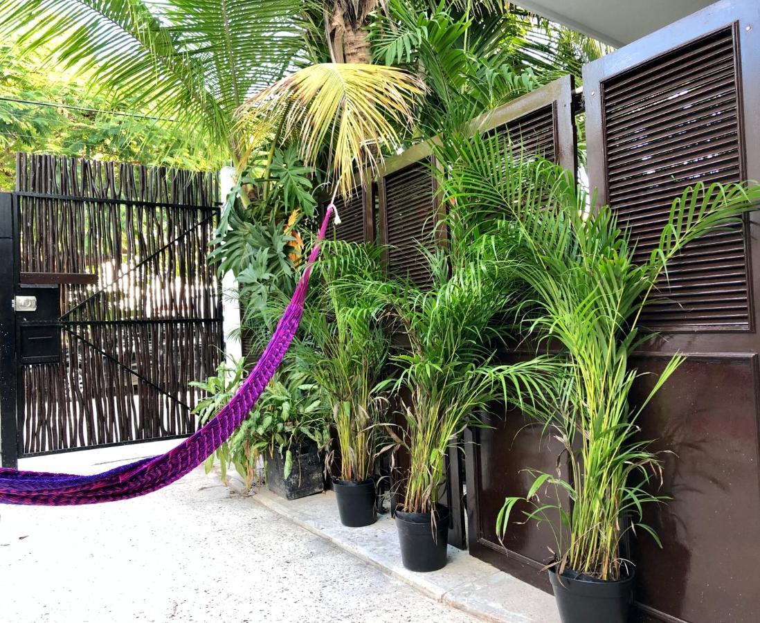 Casa Tropical Hotel Cancún Exterior foto